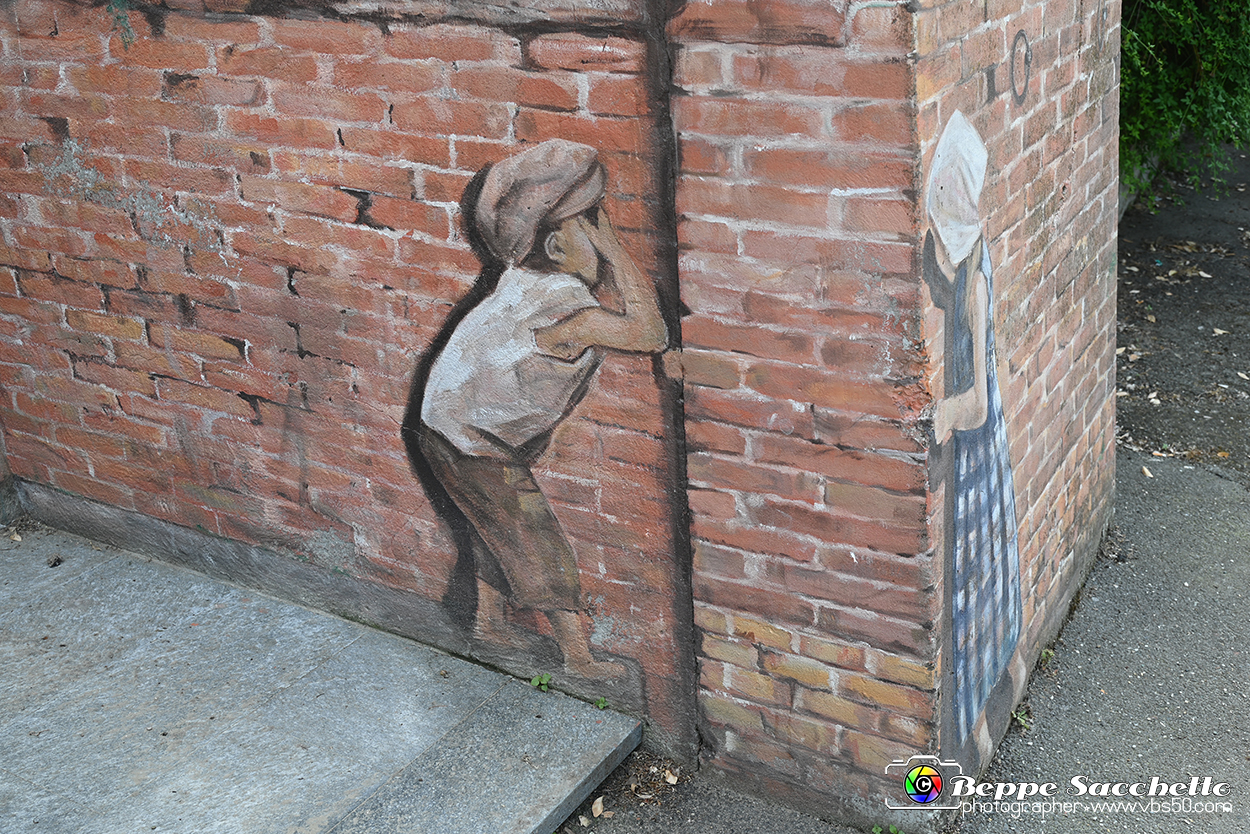 VBS_3678 - Fontanile (Asti) - Murales di Luigi Amerio.jpg